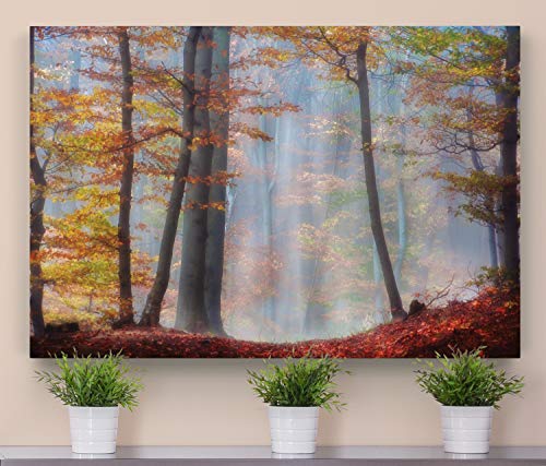 Renditions Gallery Canvas Nature Wall Art for Home Misty Orange Autumn Trees Forest Hanging Prints for Living Room Office Kitchen Decor - 32"X48" LT08
