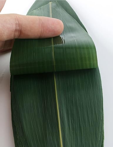 Miniatura 4 de Fresh Edible Tapered Bamboo Leaves for Japanese Cuisine, Pastry, and Food Decor - Sushi Plates, Onigiri Decoration, Sushi Making Kit, 12" x 3 12",