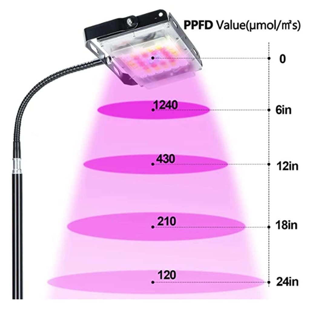 Grow Light con Soporte,Luz de Planta de Suelo LED de Espectro Completo de 50 W,con Interruptor de Encendido/Apagado,Lámpara de Planta LED con Cuello de Cisne Ajustable