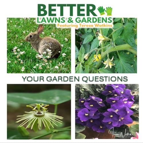 S2 Ep417: Better Lawns and Gardens - Hour 1 Your Garden Questions Jan 10, 2026