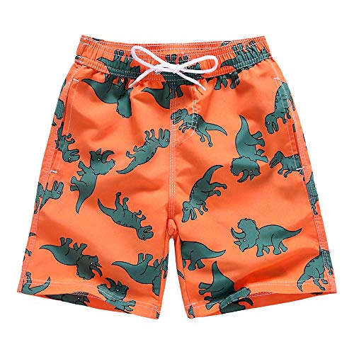 Boys Swim Trunks, Quick Dry Beach Swim Shorts Little Boys Bathing Suit Swimsuit Toddler Boy Swimwear With Mesh Lining, 3-14 Years (3-4 Years, Dinosaur) #TOP2