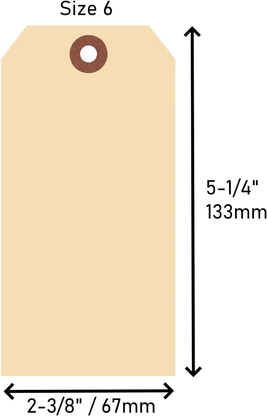 Merangue 100 Pack Shipping Tags, Sz6, 5-1/4" x 2-5/8" (1024-5051-00-000) : Office Products