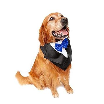 DogLemi Dogs Bowtie Tuxedo Neckwear Holloween Scarf Pet Dress-up Costumes Cosplay Accessories (Blue)