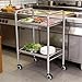 Stainless Steel 2-Tier Rolling Utility Cart with Locking Wheels, Multi-Purpose Service Trolley for Hotel, Office, Kitchen, Medical Use (14