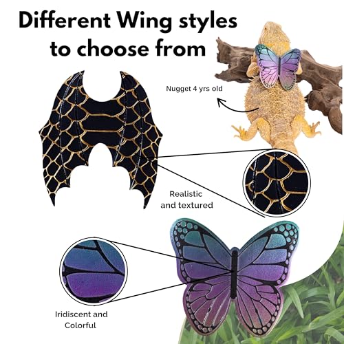 Conjunto de coleira e arnês de dragão barbudo ajustável, coleira de lagartixa de leopardo, asas e as