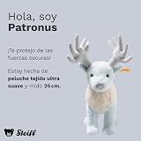 Ver la foto 2