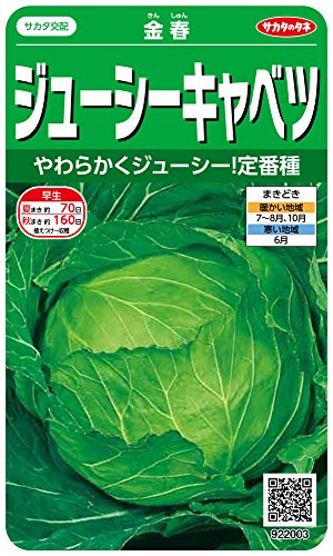 TJ^̃^l 2003 W[V[Lxc t 00922003