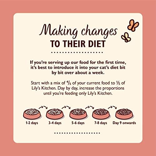 Lily's Kitchen Smooth Pate for Kitten, Chicken with Beef ,19 x 85 g