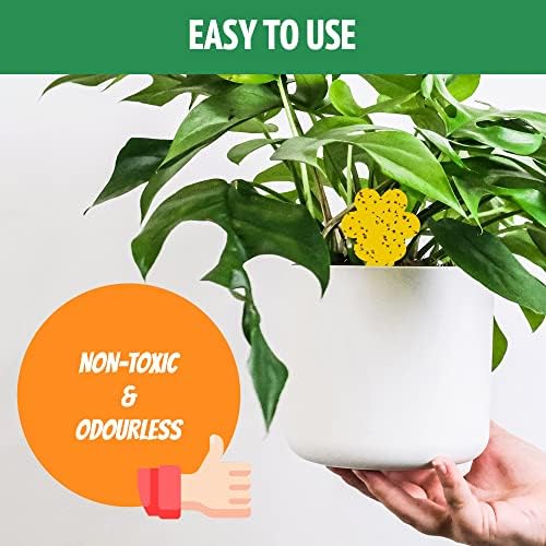 Super Ninja Fungus Gnat Killer - 30 Traps - Highly Effective and Ecological Yellow Sticky Traps for Fungus Gnat and Whitefly - Easy-to-Use - Up to 3 Months