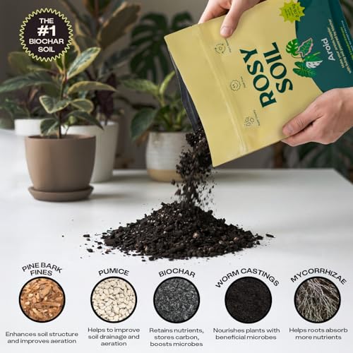 Image of Rosy Soil Aroid Soil Mix, Chunky Biochar Potting Mix, 4 Quarts | For Monstera, Philodendron, Anthurium & Tropical Plants - Peat-Free, Microbially Active, Superior Aeration & Drainage
