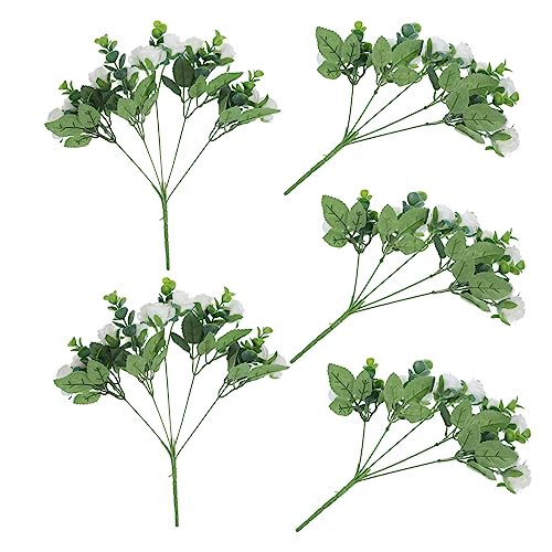 Frcolor 5  ԕr tFCN JX~\E  p[eB[     A A   tFCN   vX`bN