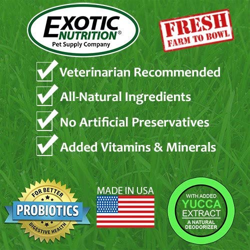 Exotic Nutrition Degu Diet (18Lb) - Nutritionally Complete Healthy Pellet Diet With Whole Oats - For Domesticated Pet Degus #TOP3