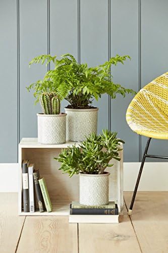 Burgon & Ball Plant Pot, Ceramic, Soft Grey, Large