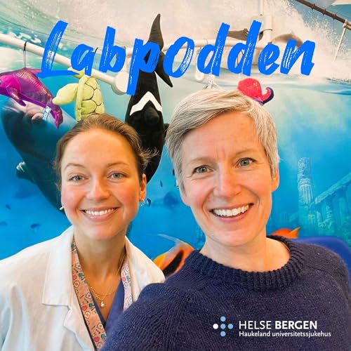 Midt i livets start og slutt - bioingeni&oslash;r i Glasblokkene