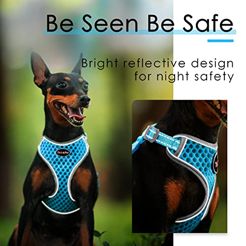 Thinkpet Reflective Breathable Soft Air Mesh No Pull Puppy Choke Free Over Head Vest Harness For Puppy Small Medium Dogs And Cats Light Blue Small #TOP6