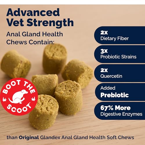 Image of Vetnique Glandex Anal Gland Soft Chew Treats with Pumpkin for Dogs Digestive Enzymes, Probiotics Fiber Supplement for Dogs Boot The Scoot (Advanced Strength Duck /Bacon, 60 Ct)