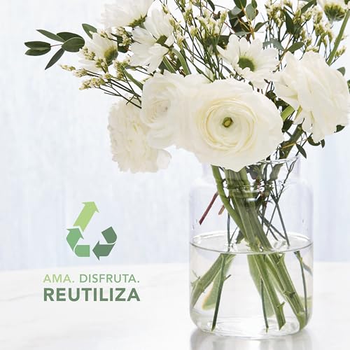 Vela aromática Yankee Candle | Christmas Cookie Place vela en tarro grande | Velas de larga duración: hasta 150 h | Regalos perfectos para mujeres