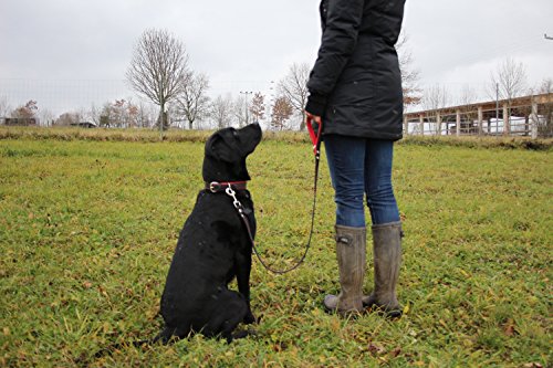 Activity4Dogs Luxus Hundehalsband aus Leder | für (mittel) große Hunde | 2,5 cm breit | gepolstert | 5-Fach verstellbar | Made in Germany | Echt-Leder Größe M1 schwarz-rot