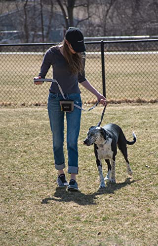 Ollydog Goodie Treat Bag, Dog Treat Pouch, Waist Belt Clip For Hands-Free Training, Magnetic Closure, Dog Training And Behavior Aids, Three Ways To Wear (Moon Shadows) #TOP4