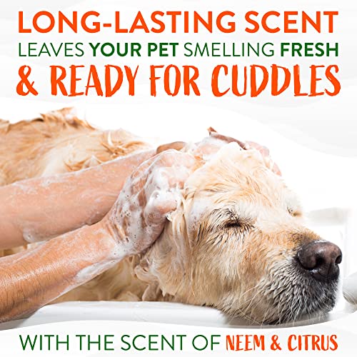 Tropiclean TRNCSH591ML-CA Citrus & Neem Oil Flea Shampoo For Dogs thumb #4