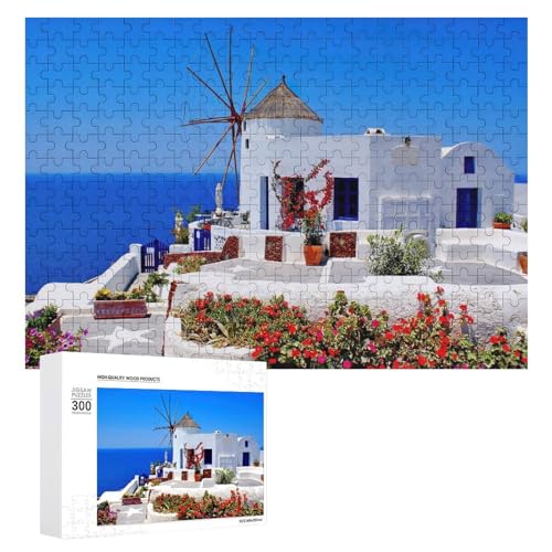 kMVTg[jG[QCr[ WO\[pY ؐ l/qp XgX  mߋ ̏ Ǌ| SҌ av[g NX}XMtg W[ G^[eCg 300 PCS