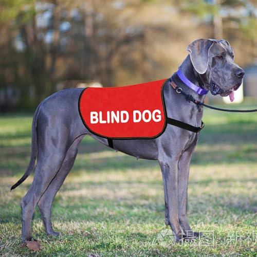 Special Needs Gift Blind Dog Jacket Vest Pet Alerts Blind Dogs Walking Slogan Warning Vest (Bl-ind d-og M) - Image 3