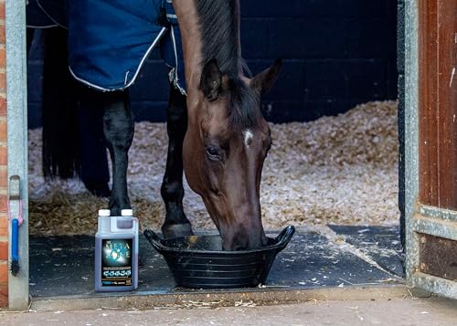 NAF Five Star Metazone Liquid 1L, Natural Anti-Inflammatory Support for Horses, With Turmeric, MSM & Herbal Extracts - Image 3