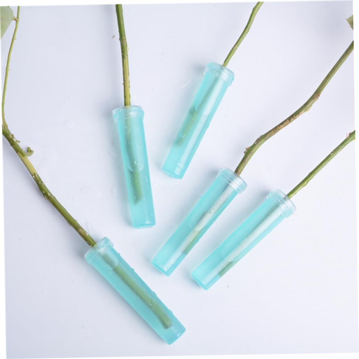 VANZACK 200pcs Floral Water Tubes for Fresh Flowers Nutrition Culture Vials for Florist Water Storage and Flower Shop Supplies