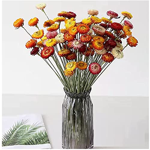 Tooget 40 Pcs Natural Dried Daisies, Dried Daisy Flowers Bouquet With Stem For Wedding Home Office Party Diy Flower Arrangement #TOP1