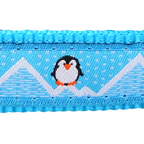 Red Dingo Hundehalsband mit Pinguin-Design, Türkis, Größe S