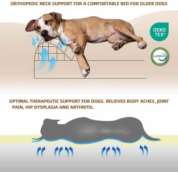 Cama Ortopédica para Perro Tamaño Mediano con Borde Lavable miniatura 6