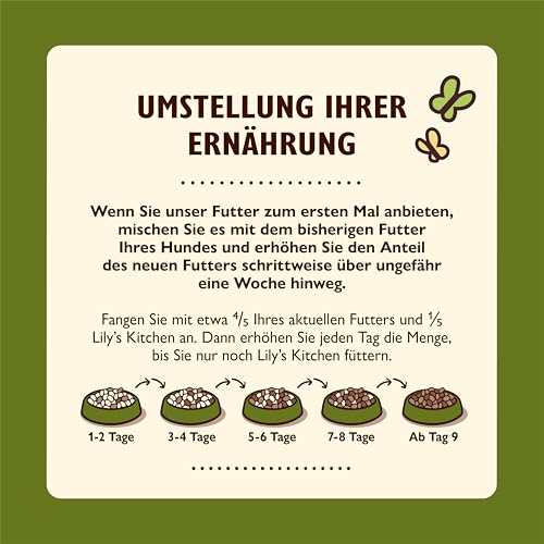 Lily's Kitchen Mit natürlichen Zutaten hergestellt Nassfutter für ausgewachsene Hunde Hundefutter Schale Bio- Lamm 11 x 150g