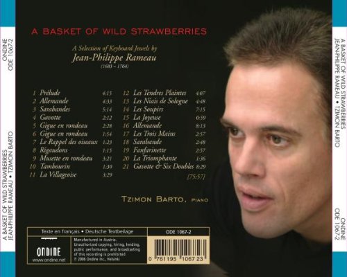 Vista 2 de Basket of Wild Strawberries