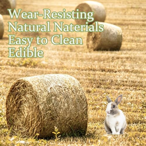 Image of 4 Pcs Natural Rabbit Grass Mats Chewable Bedding 11''x8.3''