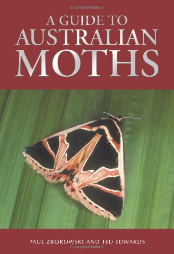 Buy A Guide to Australian Moths — BookShops.in