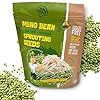 Todd’s Seeds - Seed Sprouting Kit with Mung Bean Seeds – Easy to Use Sprouting Cup - Complete Seed and Bean Sprout Growing Kit #4
