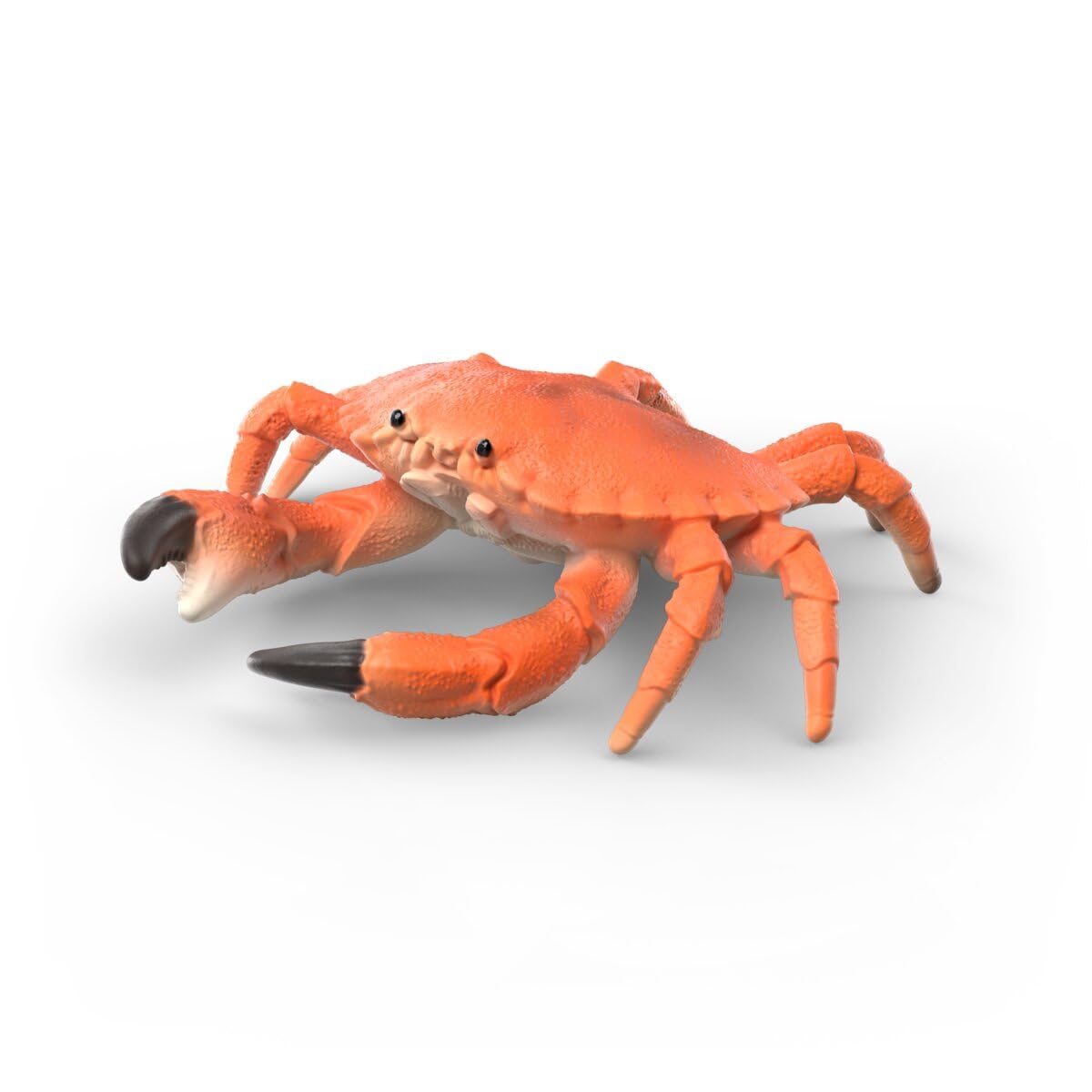 Schleich WILD LIFE | Set Esploratori delle Creature Marine 42742 | 4 pezzi | Set di animali dai 3 anni | set con personaggi, numerose funzioni e tanti accessori | figure realistiche di animali