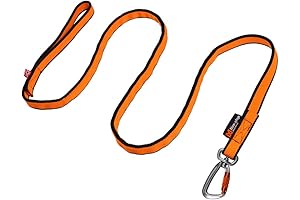 Non-stop dogwear Bungee Leash: Ultimate Elasticity for Active Dogs