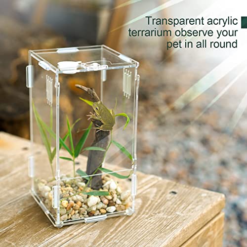 BETAZOOER Acrylic Mini Reptile Tank Habitat Transparent Terrariums with Locking Latch Suitable for Tarantula Isopod Roach Invertebrates (8\'\'x6\'\'x14\'\') - Thumbnail 6