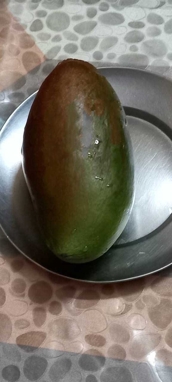 M-Tech Gardens Rare Exotic Nam Doc Mai Purple Mango Fruit 1 Healthy Grafted Live Plant