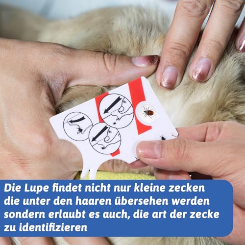 Giantree 2 Stück Zeckenkarte Mit Lupe, Zeckenkarte Mensch Schnelle Reinigung Von Zecken Zeckenentferner Kinder Mit Lupe Kompakt Und Tragbar Zecken Vom Haustier oder Menschen Entfernen