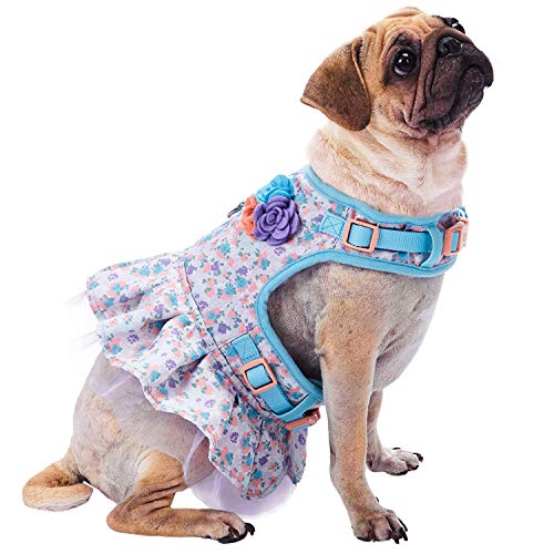Best Harness for Pugs [TOP PICKS & GUIDE] 2024 MrsDoggie