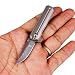Samior HY004 Mini Little Damascus Pocket Flipper Knife, 1.45 inches VG10 Small EDC Folder Drop Point Blade Folding Keychain Necklace Knife, Gray 6AL4V Titanium Handles Frame Lock Lanyard, 0.7 oz