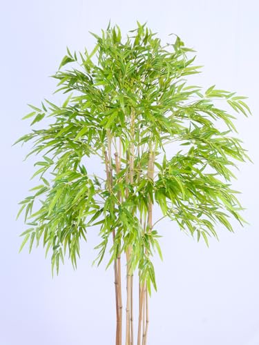 Image of ARICK DECOR 6Ft Artificial Bamboo Tree in Pot, 6ft Realistic Faux Bamboo Silk Plant with Natural Look Canes, Peacock Shaped Floor Decor for Home, Office & Balcony