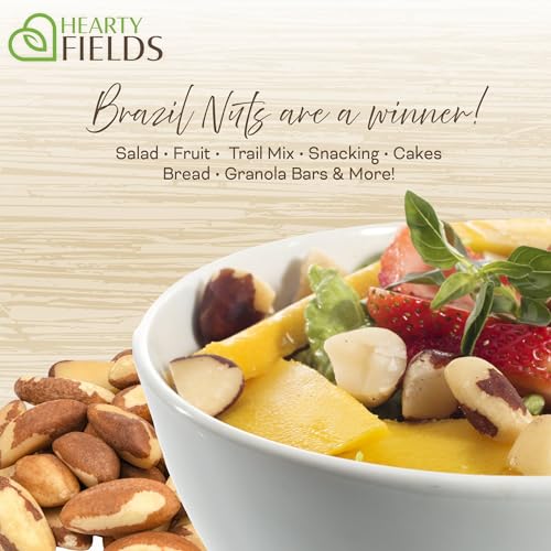 Image of Hearty Fields - Raw Brazil Nuts Unsalted, No Shell, Whole, (32 Oz - 2 LB) Wholesome In Nature - Hearty In Nurture Healthy Protein Food Snack, Food Assortments