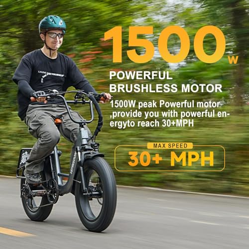 EUY Electric Bike for Adults with Peak 1500W Motor, 48V 20Ah