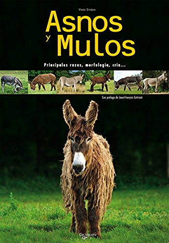 Asnos y Mulos