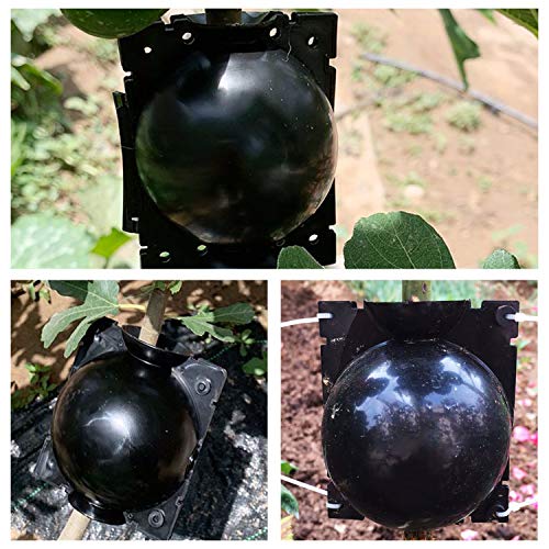 Changsha 15Pcs Plant Root Growing Box Grafting Device, Rooting Ball Propagation High Pressure, Assisted Cutting Plants Rooting Growing Breeding For Reproduction Equipment(S) #TOP5