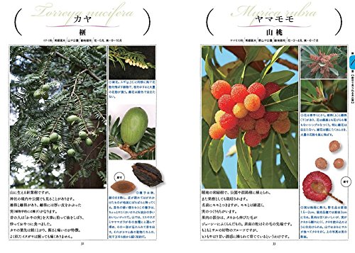 大人のフィールド図鑑 原寸で楽しむ 身近な木の実 タネ 図鑑 採集ガイド 多田多恵子 本 通販 Amazon 大人のフィールド図鑑 原寸で楽しむ 身近な木の実 タネ 図鑑 採集ガイド 多田多恵子 本 通販 Amazon