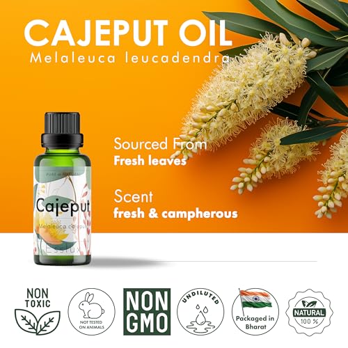 Image of Esslux Cajeput Essential Oil - 100% Pure Natural Cajeput Oil for Aromatherapy, Skin & Hair | Refreshing & Uplifting Aroma Ideal for Diffuser, Massage & DIY Projects - Therapeutic Grade - 60 ML